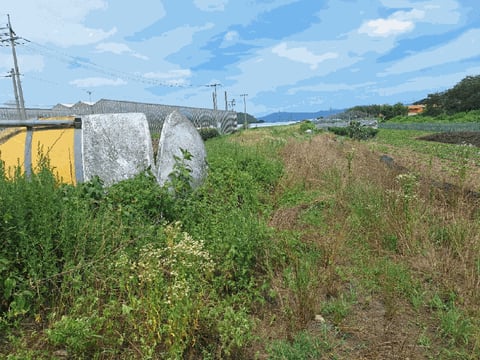물건 사진 50