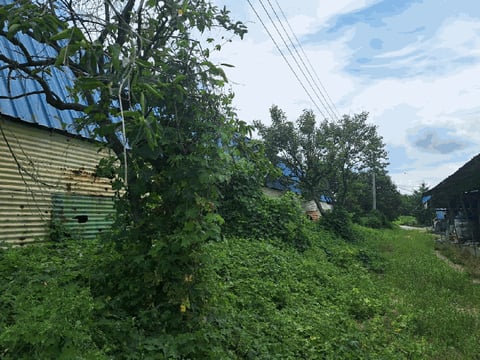 물건 사진 51