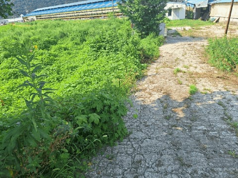 물건 사진 57