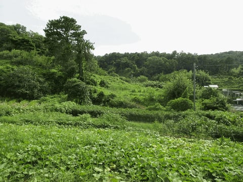 물건 사진 7