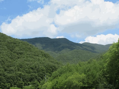 물건 사진 15