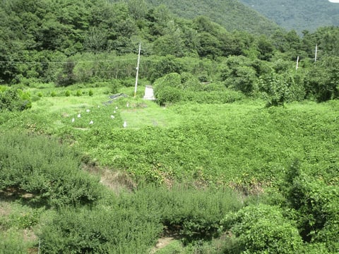 물건 사진 18