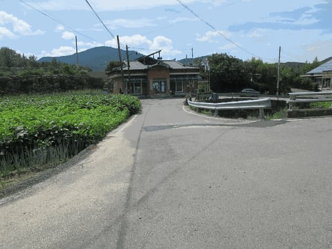 물건 사진 19