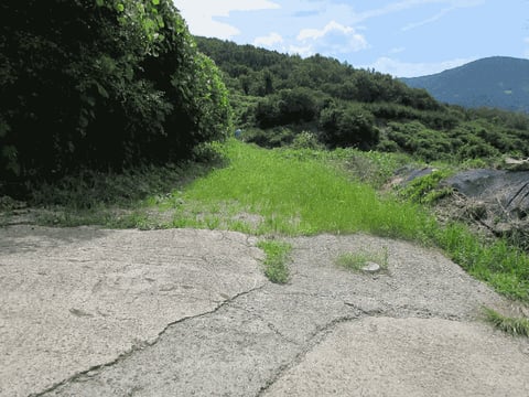 물건 사진 20