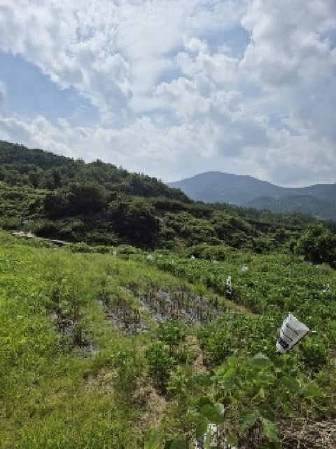 물건 사진 3