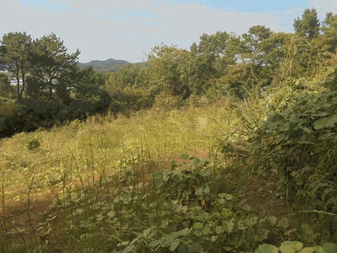 물건 사진 13