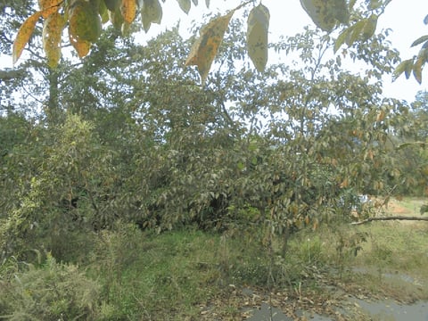 물건 사진 16