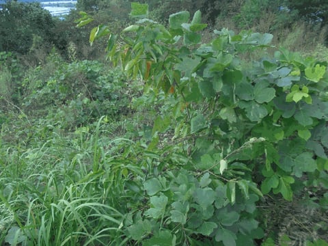 물건 사진 18