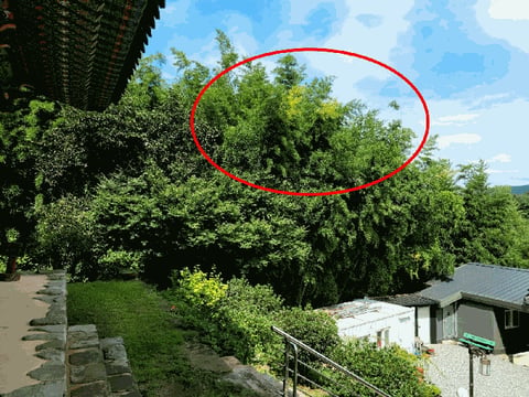 물건 사진 7
