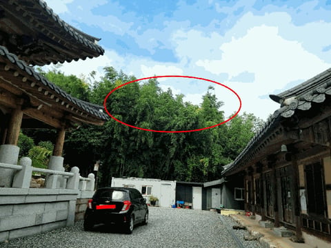 물건 사진 8