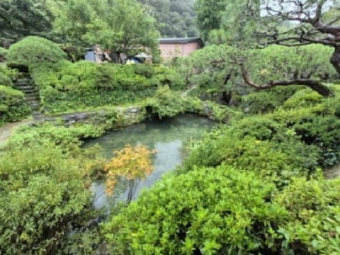 물건 사진 22