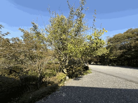 물건 사진 47
