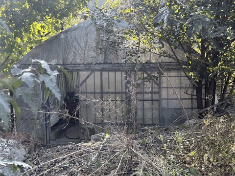 물건 사진 55