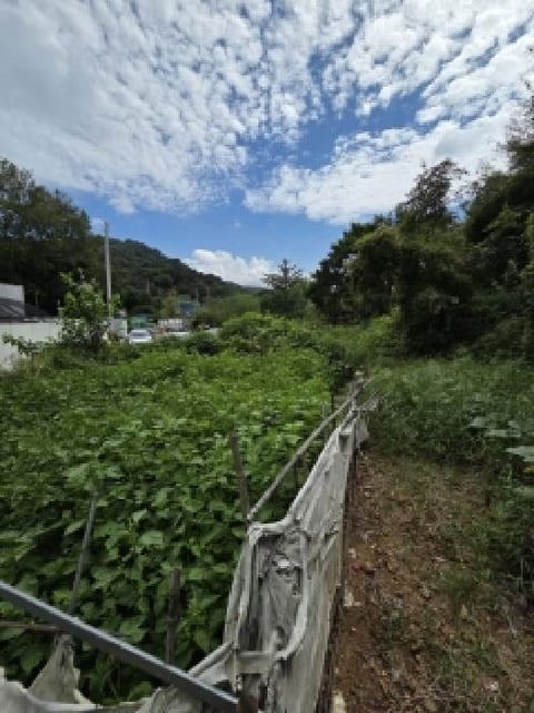 물건 사진 1