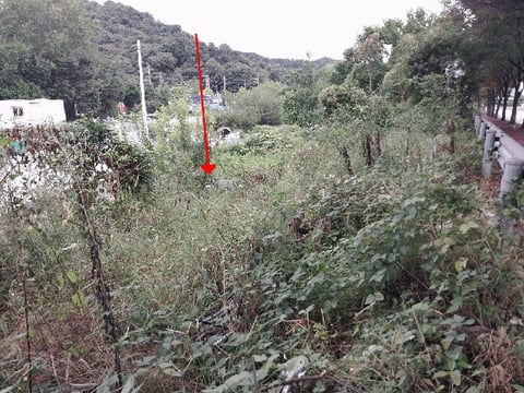 물건 사진 6