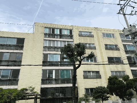 물건 사진 6