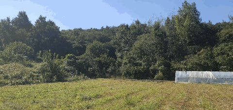 물건 사진 27