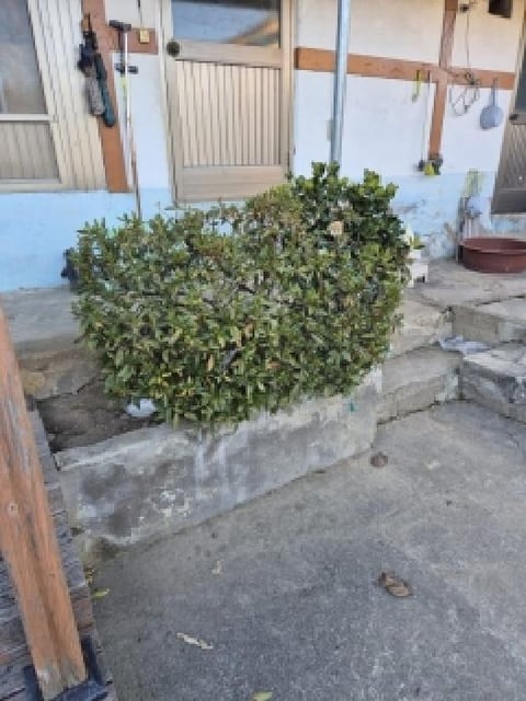 물건 사진 19