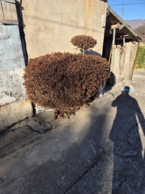 물건 사진 20