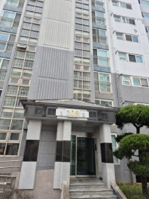 물건 사진 3