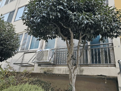 물건 사진 10
