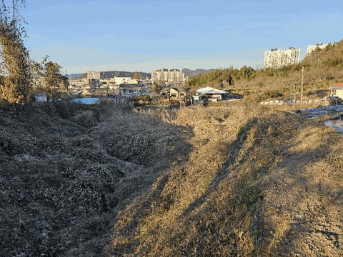 물건 사진 9