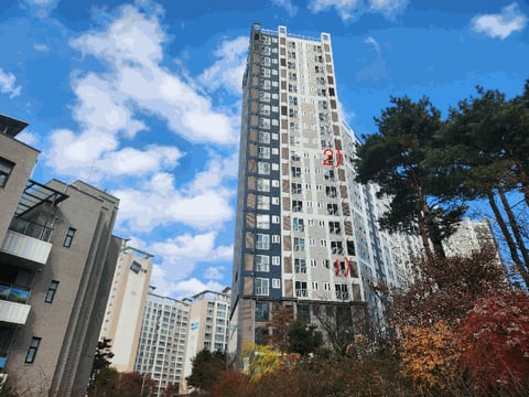 물건 사진 6
