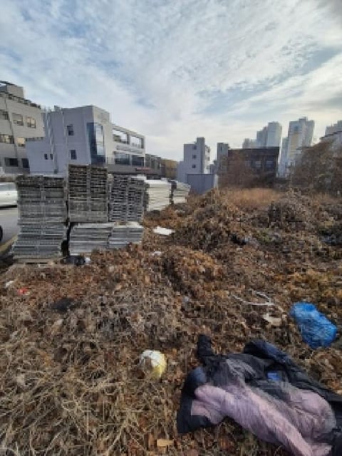 물건 사진 3