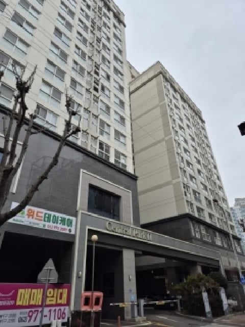 물건 사진 2