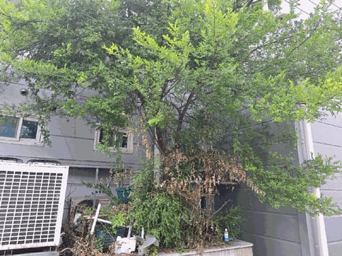 물건 사진 24