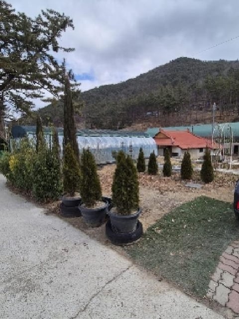 물건 사진 2
