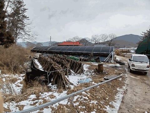 물건 사진 13