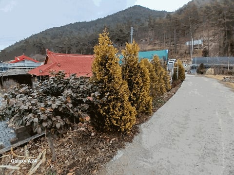 물건 사진 18