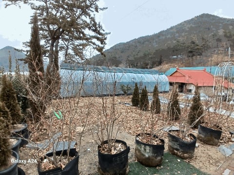 물건 사진 28