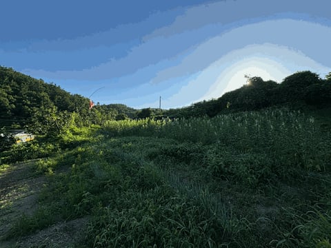 물건 사진 12