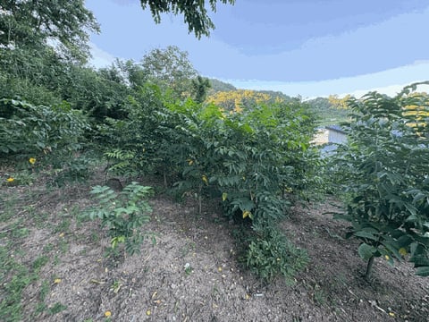 물건 사진 14