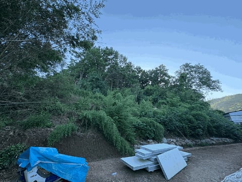 물건 사진 15