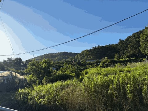 물건 사진 8