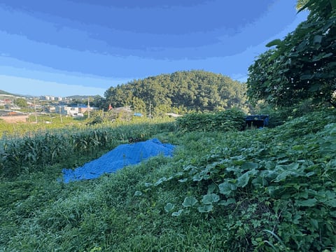 물건 사진 9