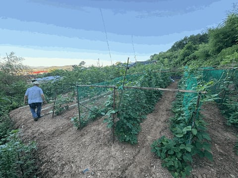 물건 사진 10