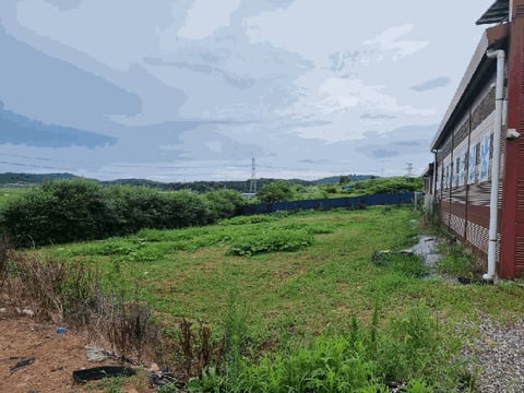 물건 사진 6