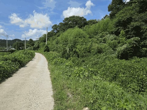 물건 사진 13