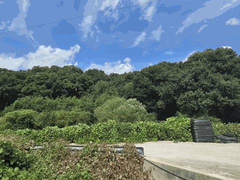 물건 사진 15