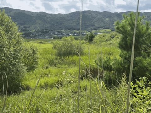 물건 사진 12