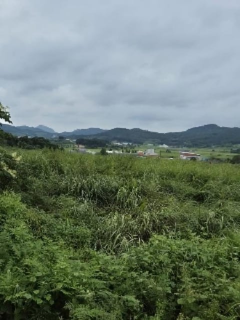 물건 사진 2