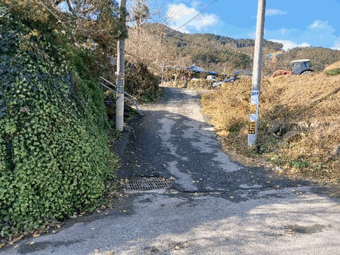 물건 사진 17