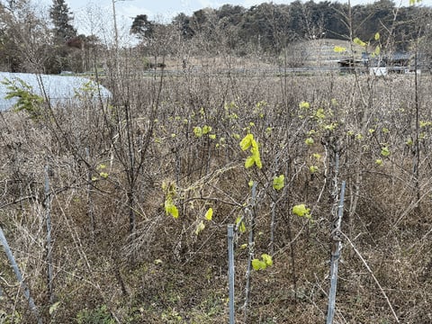 물건 사진 13