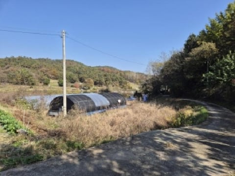 물건 사진 5