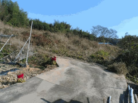 물건 사진 7