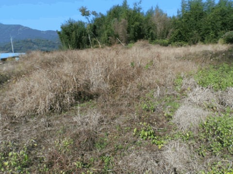 물건 사진 8